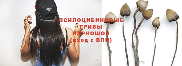 твердый Аркадак