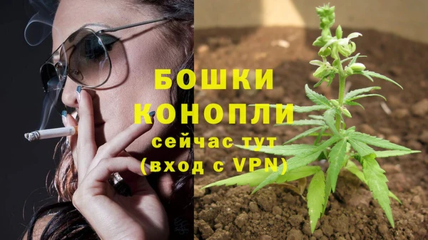 меф Нягань
