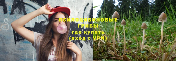 первитин Армянск