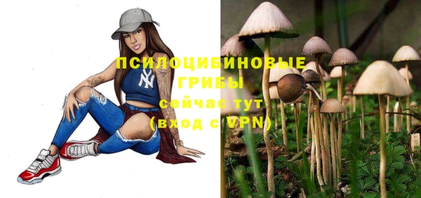 первитин Армянск