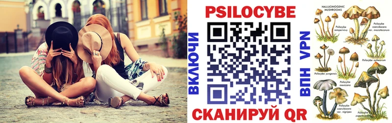 купить закладку  Новый Уренгой  Псилоцибиновые грибы Cubensis 